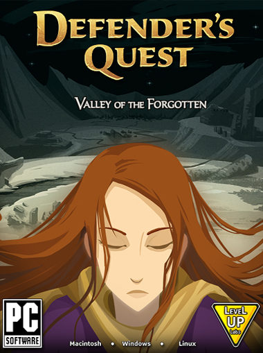 Defender's Quest cd key