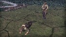 Captura de ecrã pequeno 7