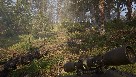 Skärmdump small 2