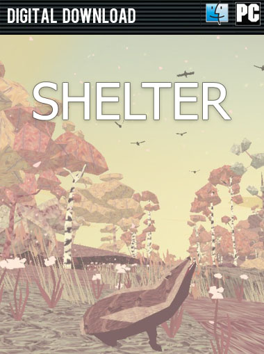 Shelter cd key