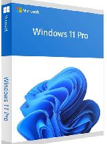 Buy Windows 11 Professional MS Products Game Download
